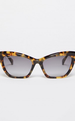 Óculos de Sol Max Mara Cat-eye Marrom | MMR594298